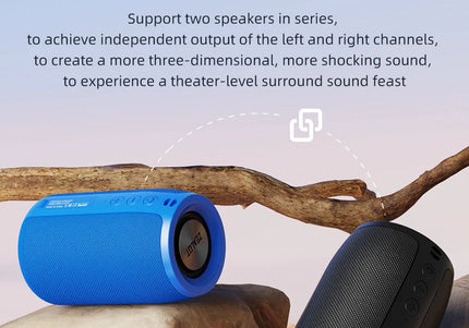 Altoparlante Bluetooth Zealot S32 portatile HIFI con radio FM e TWS
