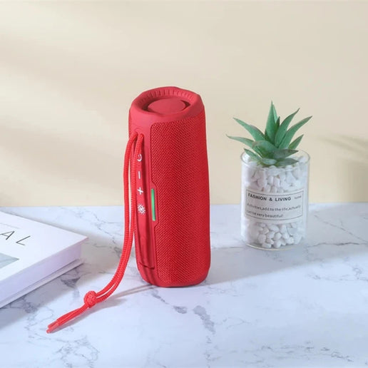 Altoparlante Bluetooth portatile con radio FM, vivavoce e bassi potenziati