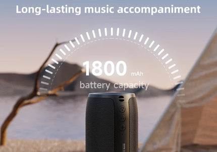 Altoparlante Bluetooth Zealot S32 portatile HIFI con radio FM e TWS