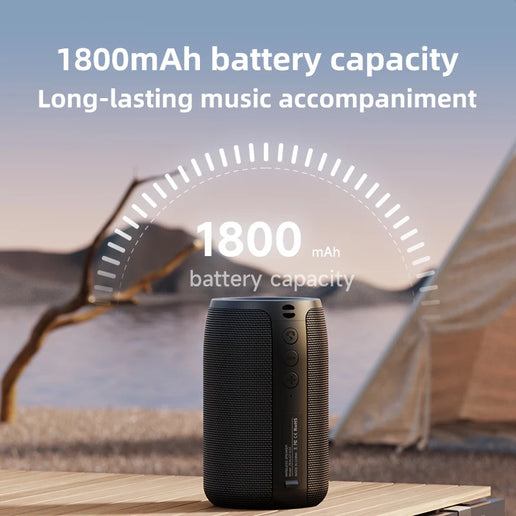 Altoparlante Bluetooth Zealot S32 portatile HIFI con radio FM e TWS