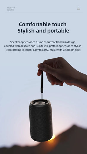 Altoparlante Bluetooth Zealot S32 portatile HIFI con radio FM e TWS