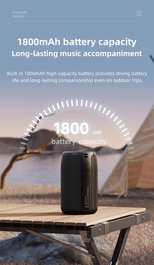 Altoparlante Bluetooth Zealot S32 portatile HIFI con radio FM e TWS