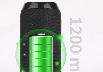 Altoparlante Bluetooth portatile con radio FM, vivavoce e bassi potenziati
