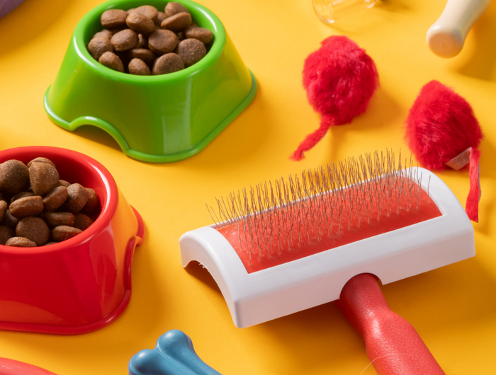 <h1>Amore a quattro zampe: tutto per i tuoi amici animali</h1>